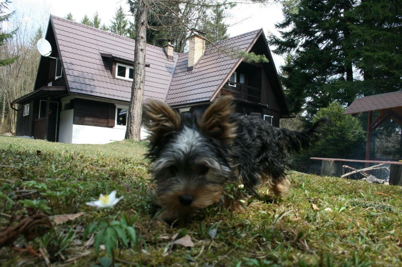 Vila Chata Rusalka Nemecká Exteriér fotografie